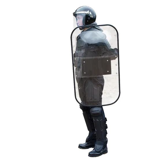 Tactical Anti Riot Armor for Full Body Protection Anti Riot Suit Arv0190