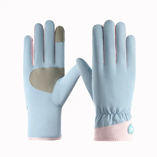 Women′s Cold Weather Windproof Thick Warm Hiking Gloves