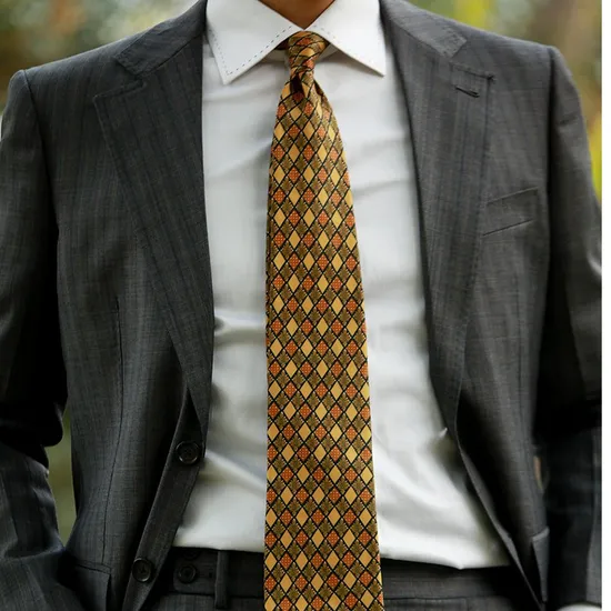 Wholesale Fashion Printed Casual Necktie Custom Design Men′ S 100% Silk Ties