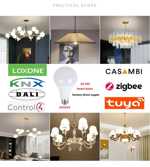 Loxone Dali PWM 2700K 3000K 4000K 5000K 6000K DC 24V Dimmable Smart LED Lighting Bubls