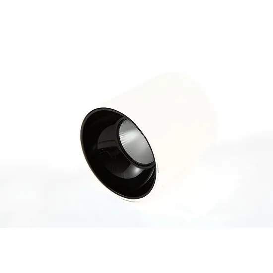 2/3/5 Years Warranty 9W 12W 24W Recessed LED Downlight for Shop Hotel   LED Dimming Lamp