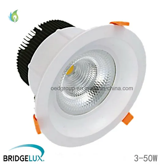 10W 15W 20W 30W 40W 50W Bridgelux Chip Recessed COB LED Ceiling Downlight