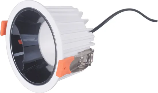 Sleek Adjustable LED Down Light with Custom Brightness Control