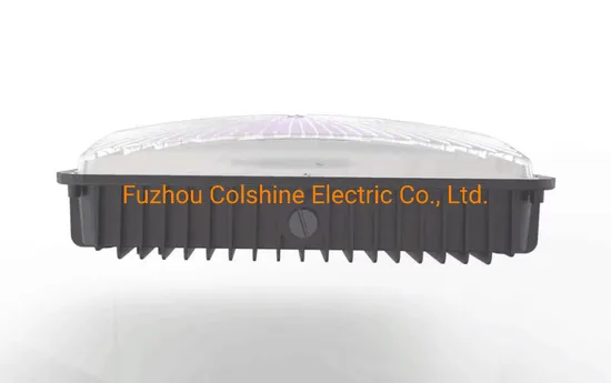 Waterproof IP65 LED Outdoor Light for Gas Station