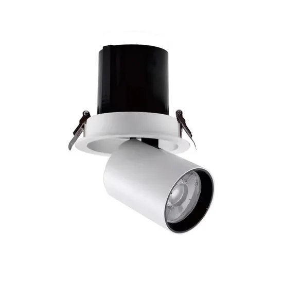 Single Head Double Head Round Square Tube Light Anti-Glare 360 Degree Rotatable Recessed Spotlight LED Fixed Retractable Downlights