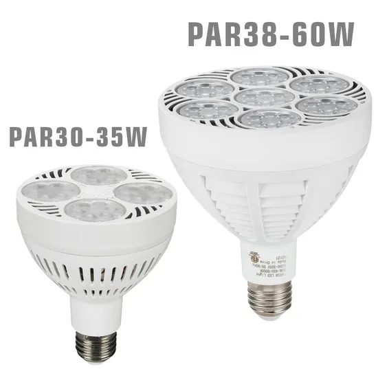 35W PAR30 60W PAR38 110V E26 E27 PAR38 6000K 10000K 12000K ETL PAR 38 PAR30 LED Light PAR30 Jewelry Light PAR30 PAR 30 LED Bulb with Fan
