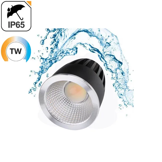 10W Tunable White MR16 Module Light 24V Knx Loxone PWM Loxone Dimmable Interior Lighting Waterproof IP65 Spotlight