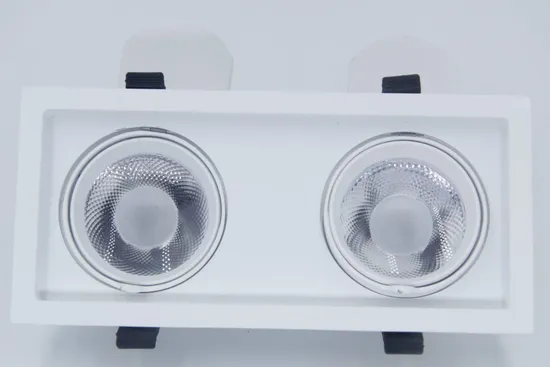 Embedded Double Heads LED Ceiling Lighting Recessed Spotlight for Supermarket Housing Downlight