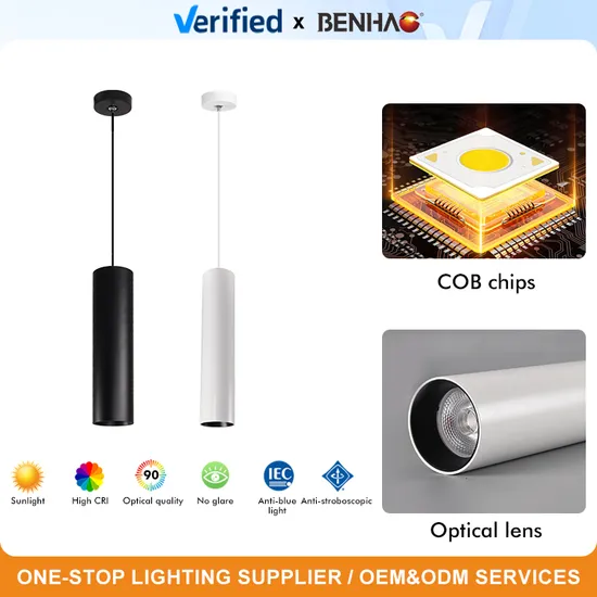 Smart Home Lighitng LED Interior Ceiling 7-30W 220V Straight Tube Die-Cast Aluminum Track Pendant/Pendant Light