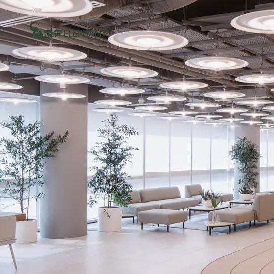 Modern Minimalist Ceiling Light, Curved Design, Indoor Art LED Ceiling Light