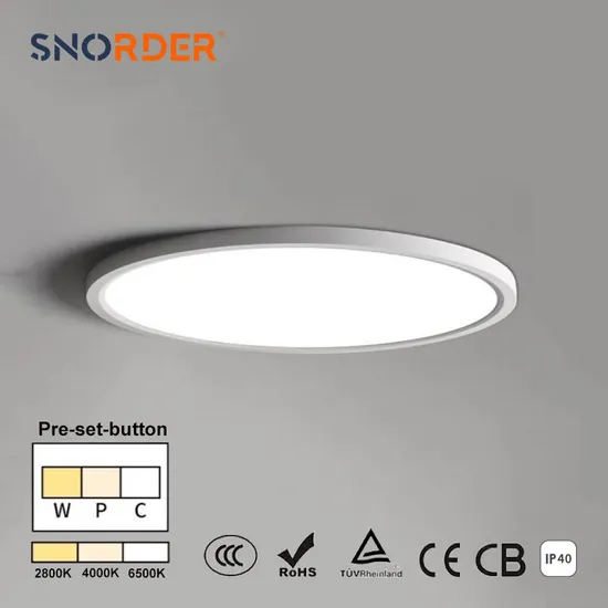 D300mm Modern Hot Sale Ceiling Light 24W 2800K/4000K/6000K Adjustable Indoor Lighting IP40 Color Available