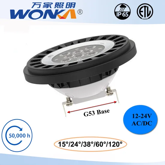 RGBW LED Spotlight PAR36 LED Light AR111