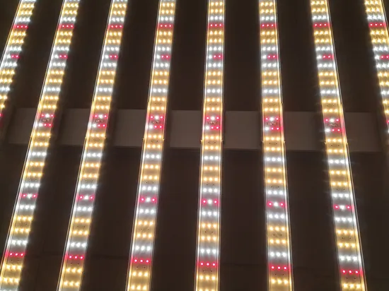 Hot Sales China Horticultural/Hydroponics/Soil Cultivation/Substrate Culture/Aeroponics Greenhouse/Tent 50W/100W/200W/300W/400W/500W/600W/700W