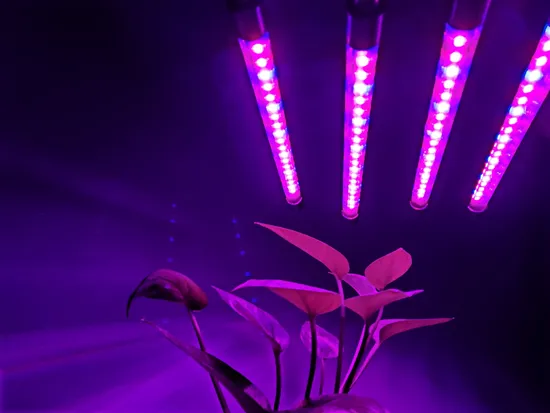 4 Head Full Spectrum Phyto Lamps DC5V USB LED Grow Light 40W Desktop Clip Phyto Lamps