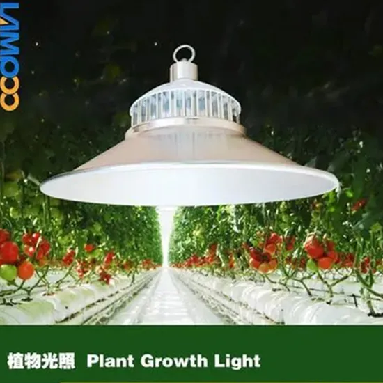 Single Span LED Grow Light Greenhouse for Mushroom and Medical Plants