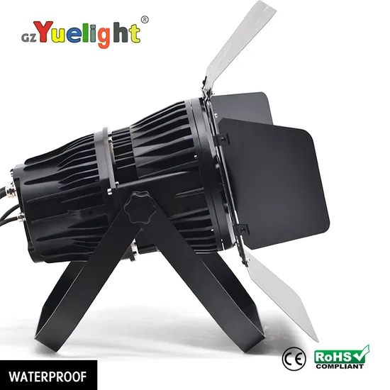 Disco Party Light LED 200W COB PAR Professional PRO Stage Lighting
