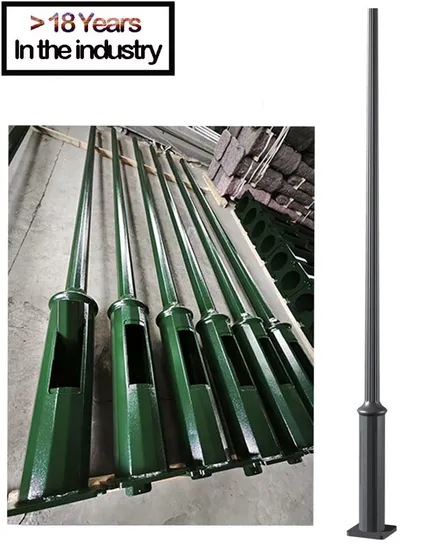 Street/Road Light/Lamp Lighting Pole/Post/Column Decorative Pole/Galvanized Light Pole/