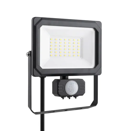 IP65 30W LED High Quality Floodlight with PIR Sensor