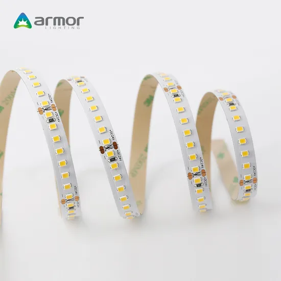5 Years Warranty 24V 2835-160 LED Strip Light for Project