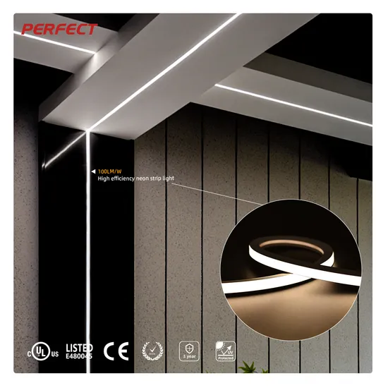 Top Bend 16*16mm High Luminous Effciency Waterproof IP67 Flexible Neon Light