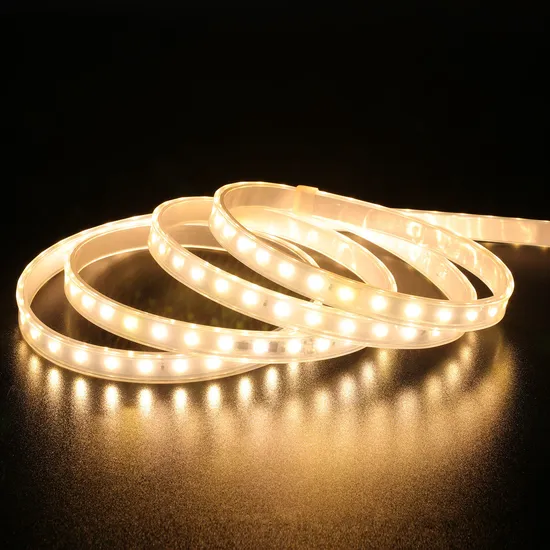 SMD2835 Warm White High Voltage 110v 220v Waterproof Dimming Strip Led Light