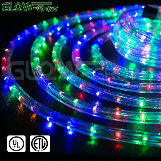 IP65 ETL UL Approval 120V LED Rope Light for Christmas Decoration