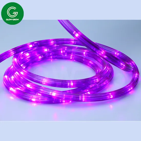 UL ETL Project 13mm Halloween Purple Smoky LED Flex Rope Light for House Tree Home Decoration