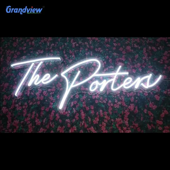 Hot Popular Sign Neon Flex Small Neon Sign Board LED Light with Ce
