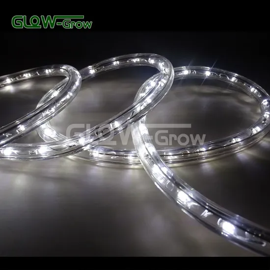 ETL UL Approval Dia. 13mm IP65 LED Tube Rope Lights for Garden Christmas Holiday Event Tree Decorative