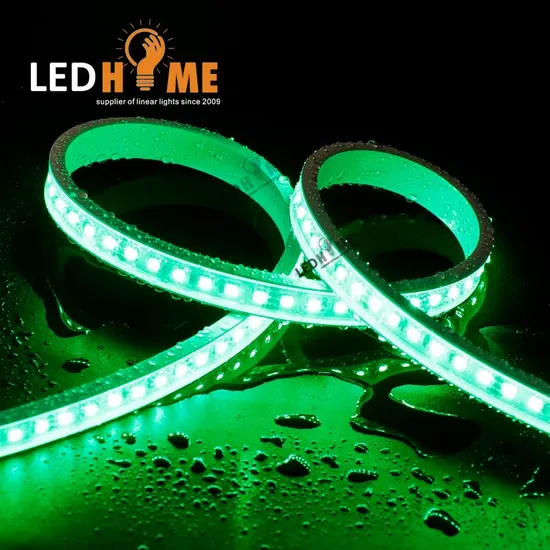 R/G/B 100% Food-Grade Silicon Flex #Ap0513f Neon LED Light