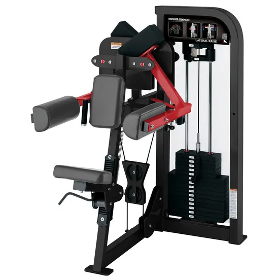Favorited Lifefitness Gym Equipment Lateral Raise (SF3-14)