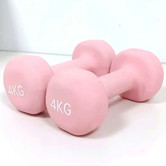 Flat Headed Frosted Lady Household Exercise Sports Equipment Solid Cast Iron Dumbbell