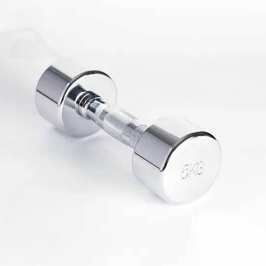 High Quality Gym Fitness Fixed Round Stainless Steel Chrome Dumbbell