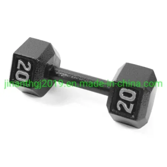 China Professional Dumbbell for Gym