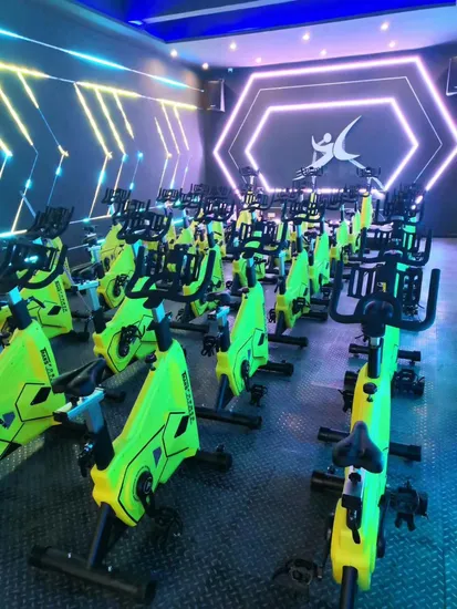 Fitness Commercial Spin Bikes Transformers 20kg Flywheel Gym Master