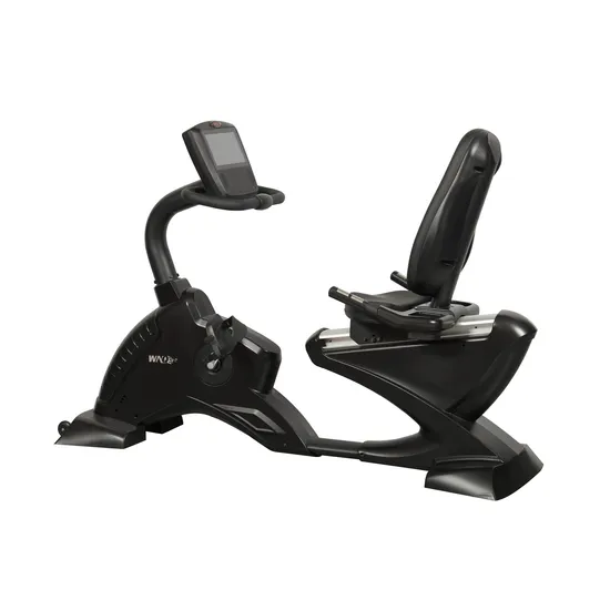 Wnq High Quality Recumbent Bike Gym Exercise Bike