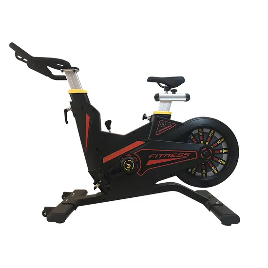 Xb-12 Commercial Gym Fitness Equipment Magnetic Resistance Indoor Spinning Bike
