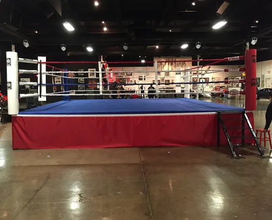 Multi Size Customized Logo Boxing Cafemartial Arts MMA Durable Boxing Ring