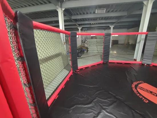 Fight MMA Octagon Cage International Boxing Cage