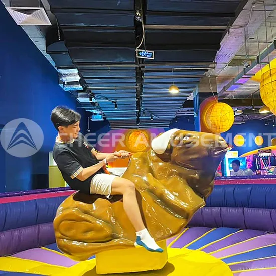 Indoor Playground Ninja Sports Complex Indoor Adventure Park with Bull Ride by Cheer Amusement