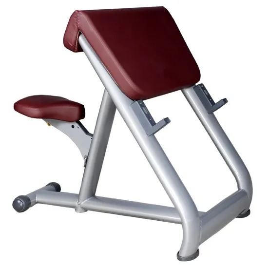Tz-6025 Preacher Curl/Good Quality Fitness Machines