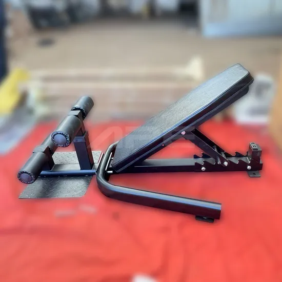 Ape Fitness Incline Benches with Sisy Squat