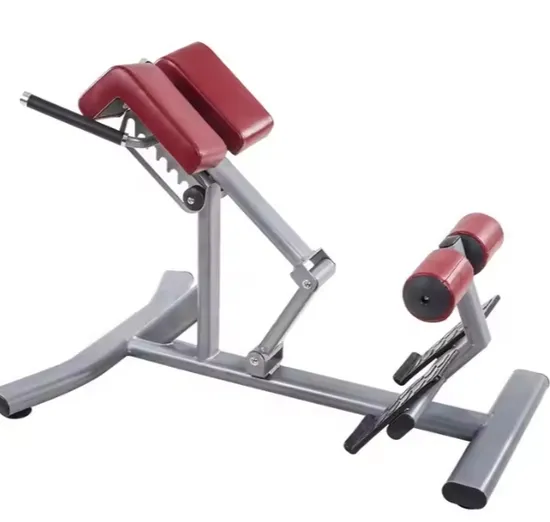 High-End Sports Equipment Gym Fitness Equipment Roma Bench Bench Bench