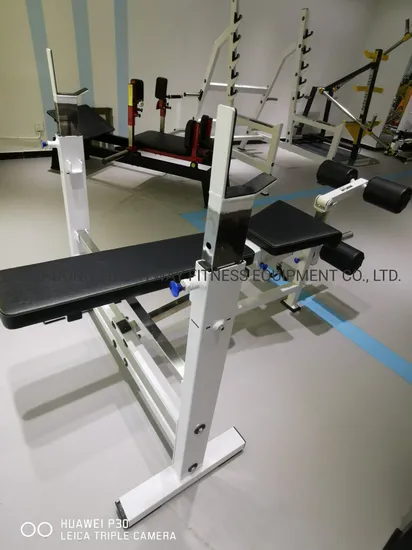 Adjustable Incline Flat Weight Luxury Bench Set Fitness Equipment Multi Bench