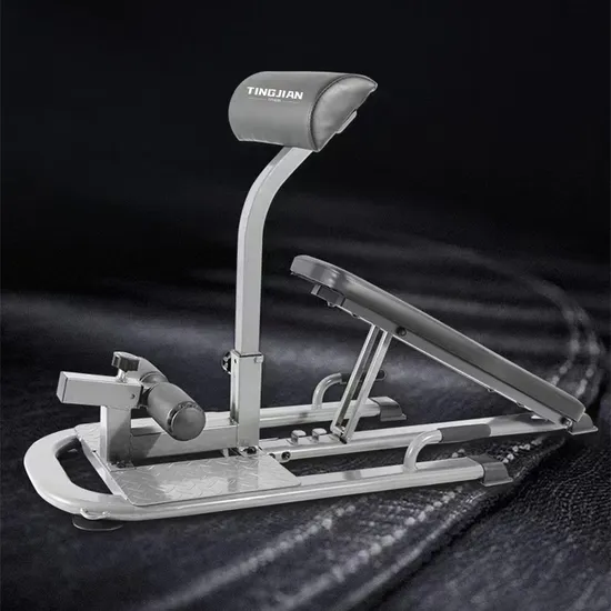 Sport Roman Chair Back Extension Bench Adjustable Fitness Workout Bench