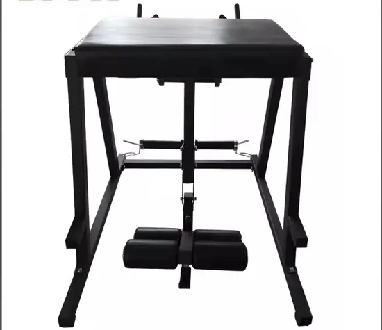 Gym Power Training Equipment Reverse Hyper Extension Machine