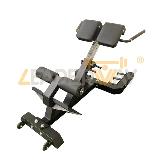 Roman Chair Indoor Fitness Equipment Goat Waist Builder Fitness Bench Fitness Chair