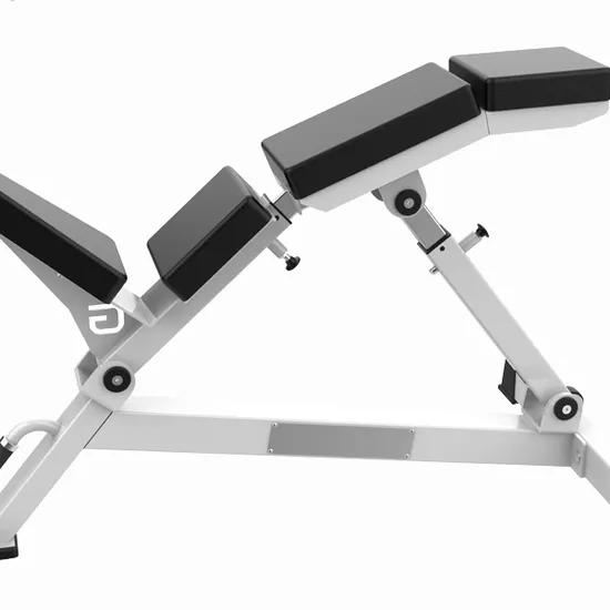 Adjustable Dumbbell Bench for Multi Gym Fitness Muscle Training