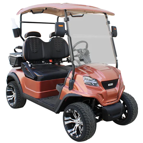 New Arriveal Style D New Design Factory 2 Seat Sightseeing Bus Club Cart Electric Golf Buggy Car