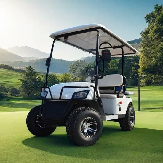 Cheap Chinese Electric Golf Cart for Sale 4 Seater Lithium 72V